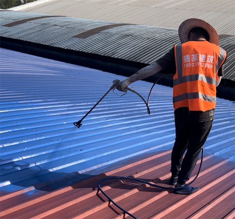 ���������������P�F������